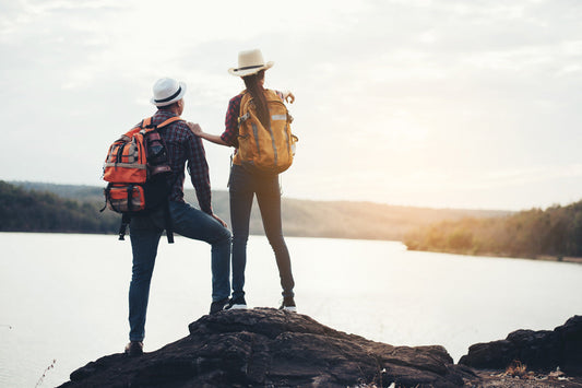 The Ideal Travel Partner: Uppy!